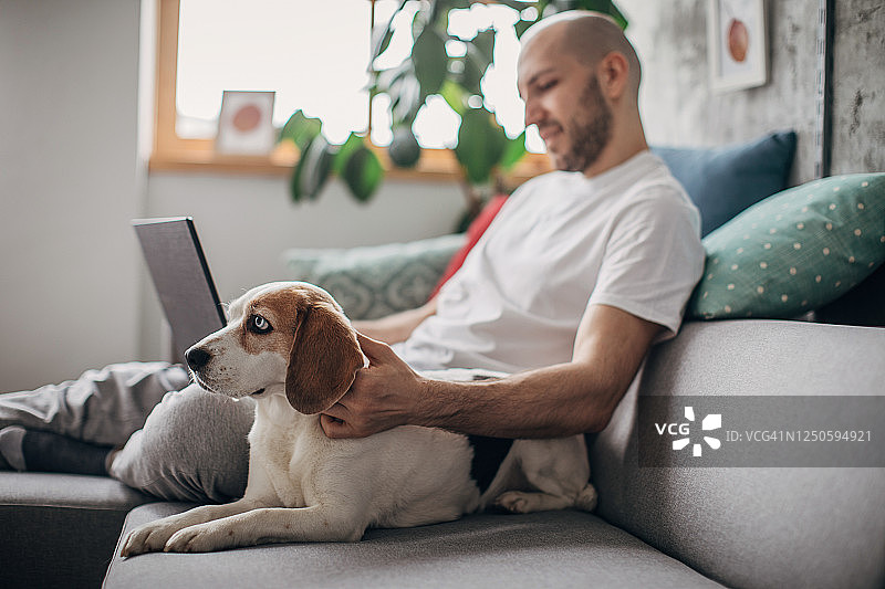 一个人在家里用笔记本电脑工作，他的宠物狗在他旁边的沙发上图片素材