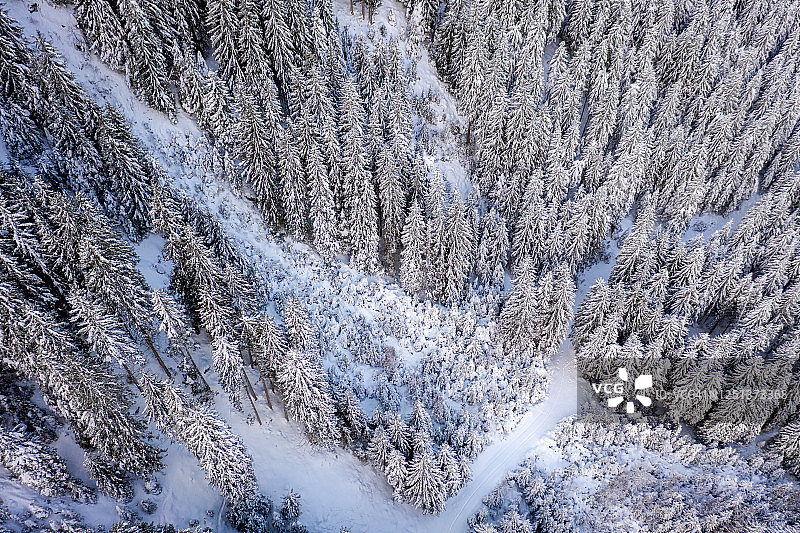 鸟瞰图的雪山松树和一个小蜿蜒的溪流在斯图拜山谷，泰洛，奥地利图片素材