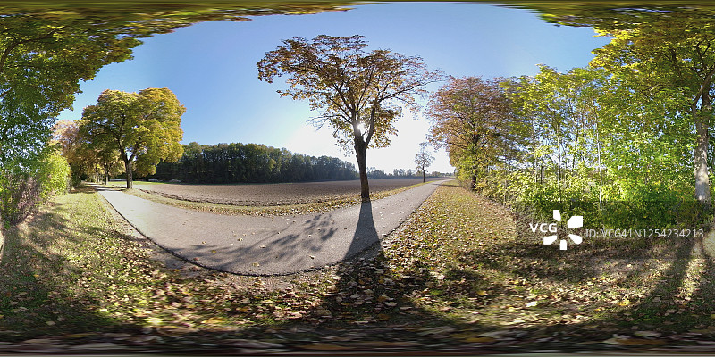 360 VR /乡村小路，五彩缤纷的秋树图片素材