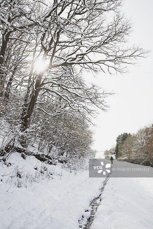 德国，北莱茵-威斯特伐利亚，日落时分，孤独的背包客在白雪覆盖的高沼泽-埃菲尔自然公园徒步旅行图片素材
