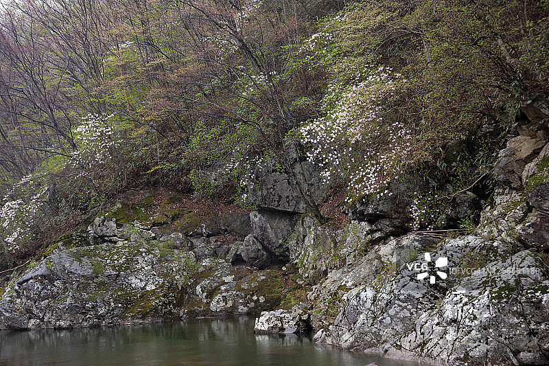 韩国日三山的春天景观图片素材