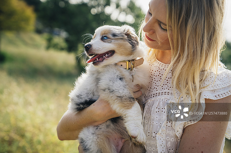 一名妇女在公园外拥抱并微笑着她的迷你澳大利亚牧羊犬图片素材