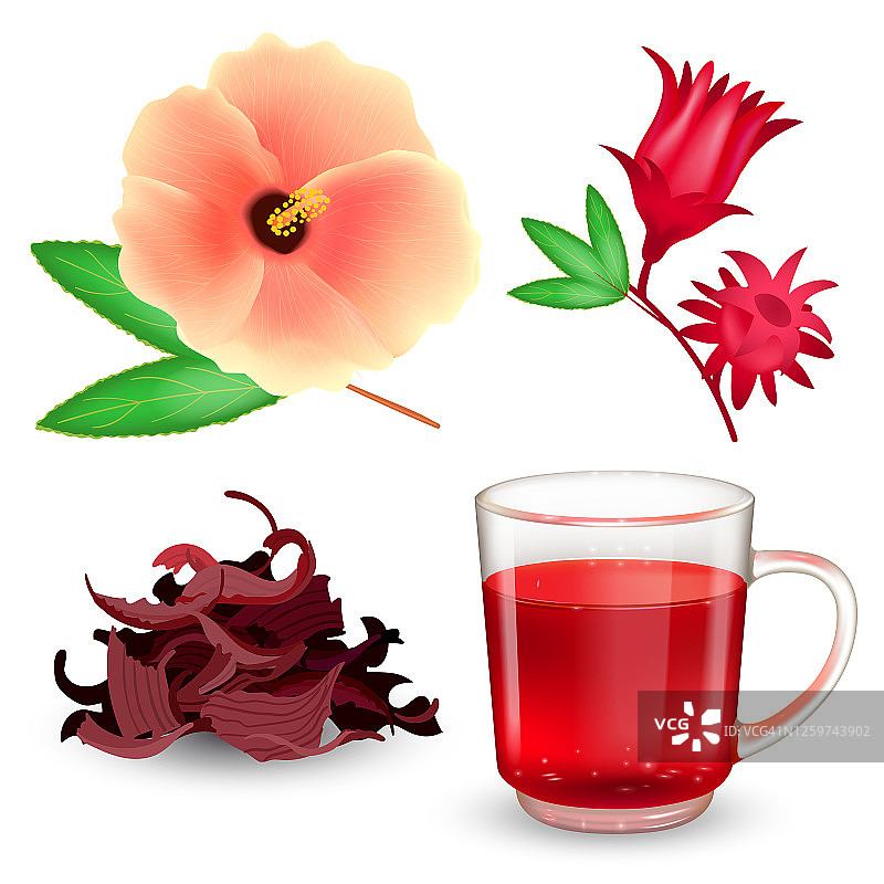 木槿茶具。玻璃杯里的玫瑰红茶，干茶，花苞和花孤立在白色背景上。现实的矢量插图。图片素材