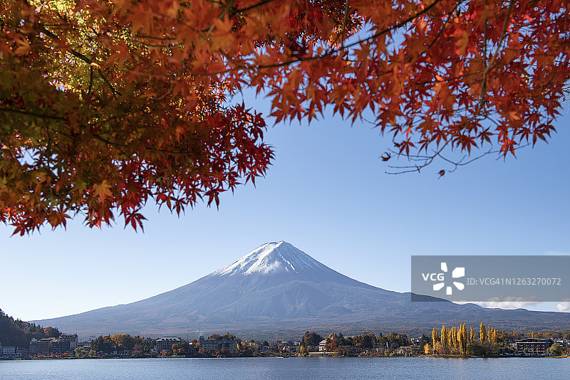 日本川口湖富士山秋日红枫图片素材