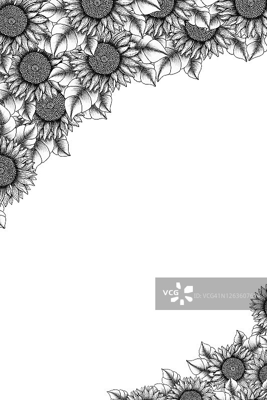 复古花框背景，手绘墨水花卡设计，植物框装饰用单色向日葵，线条艺术花装饰图片素材
