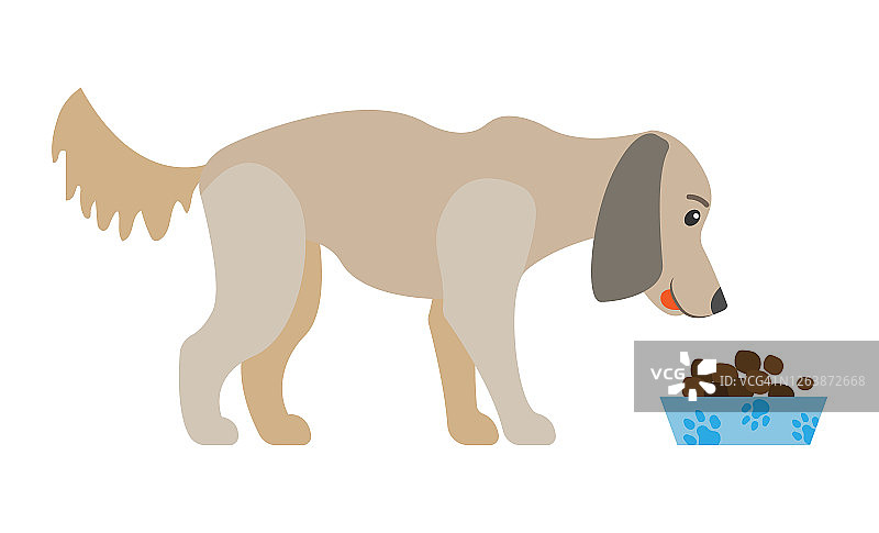 狗吃食物从碗孤立卡通狗图片素材