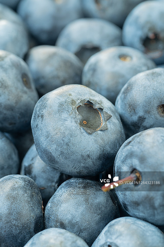 食品的背景。蓝莓的特写。微距镜头。图片素材
