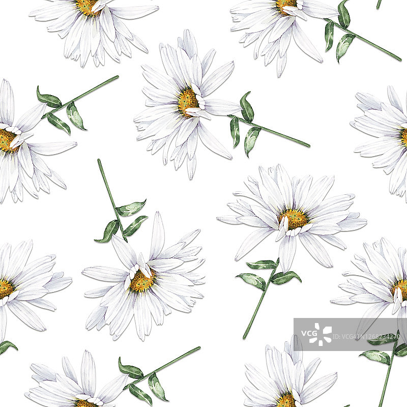 无缝图案与白花雏菊在白色的背景，近图片素材