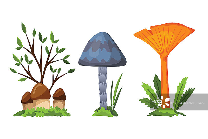 蘑菇,伞菌。不同种类的蘑菇在白色背景上的插图。平坦的夏季森林蘑菇概念上的绿色草地图片素材