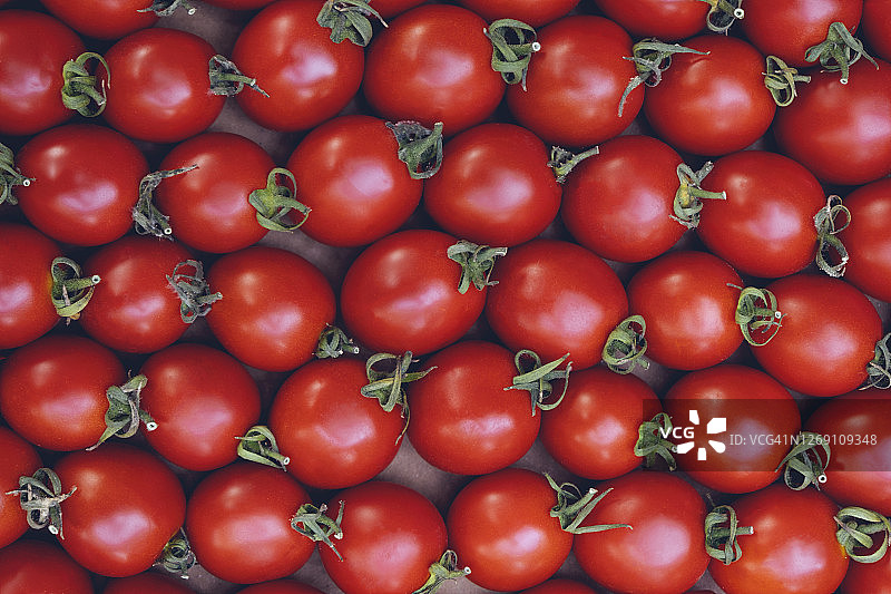 美味的红番茄。夏季托盘市场农业农场充满有机蔬菜，它可以作为背景。(选择性聚焦)图片素材