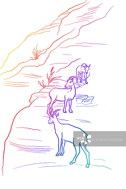 山山羊家庭单位彩虹图片素材