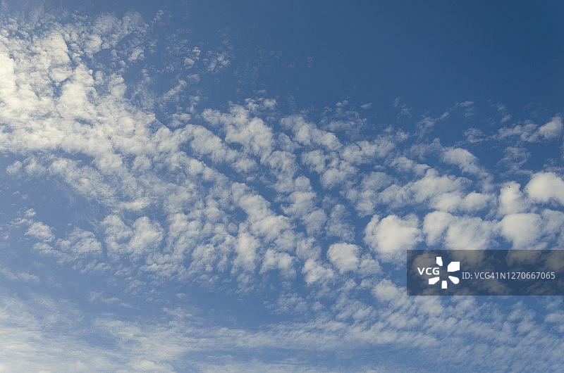 蓝天中的高积云图片素材