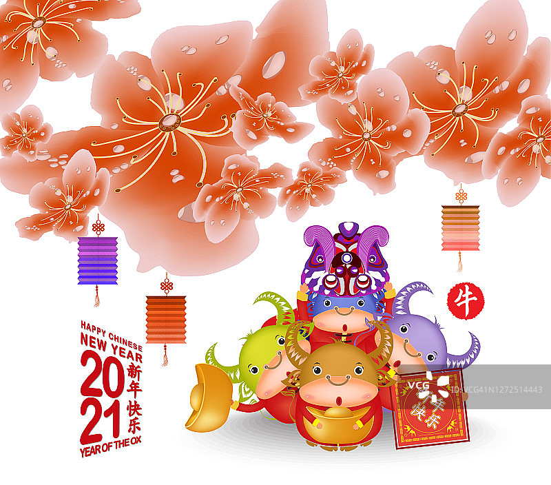 樱花花朵背景。樱花和灯笼孤立的白色背景。Chinese new year 2021 Ox(中文翻译:春节快乐，牛年)图片素材