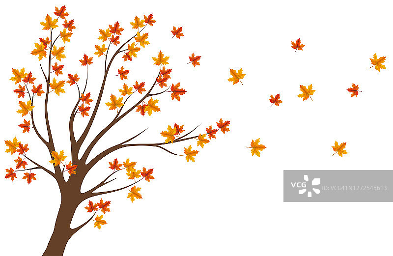 秋天的树图片素材