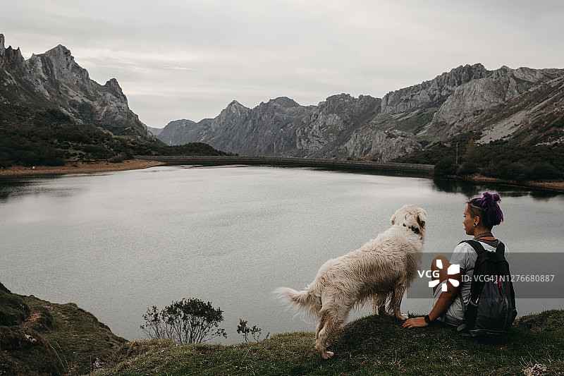 索米多和狗的自然公园图片素材