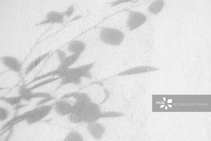 灌木的阴影笼罩着白色的墙壁。时尚摄影效果的设计，叠加。植物的阴影。图片素材