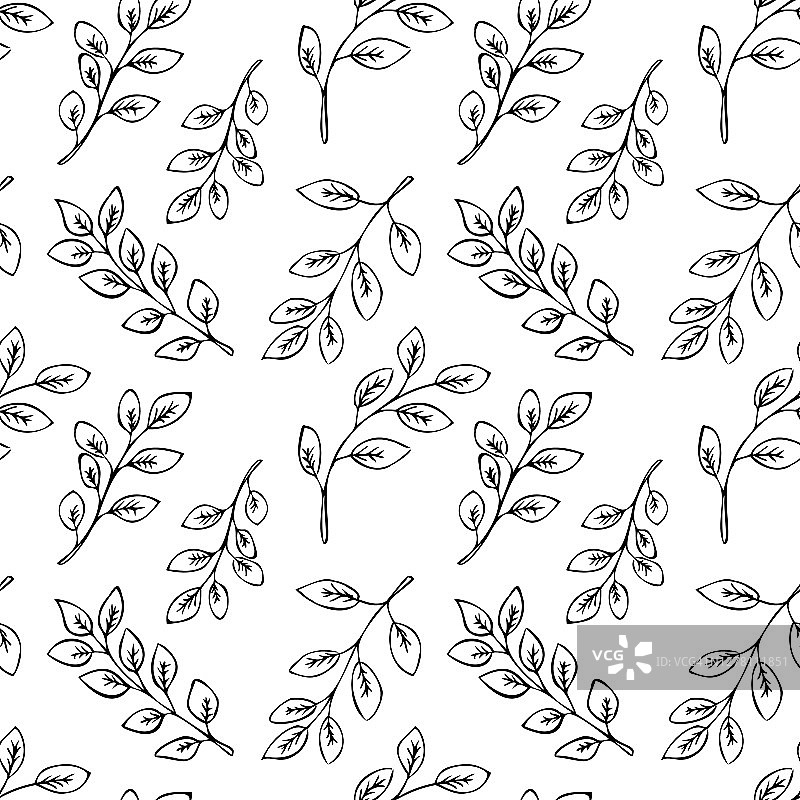 无缝花卉图案与黑色手绘叶在白色的背景。图片素材