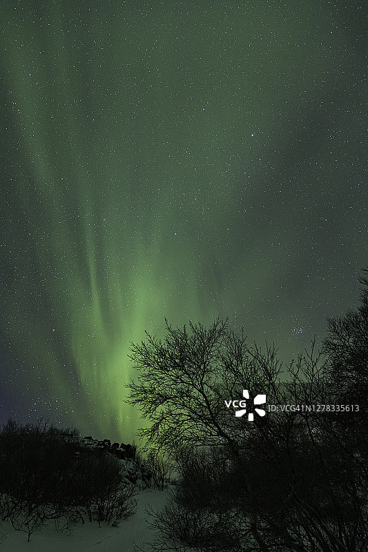 冰岛Myvatn湖地区的北极光照亮了天空与积雪的路径和前景中的树木图片素材
