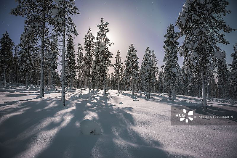 在芬兰拉普兰的托拉西比，冬天的雪景下的星星图片素材