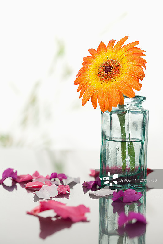 粉红色的花瓣和叶子与橙色的非洲菊在一个玻璃烧瓶图片素材