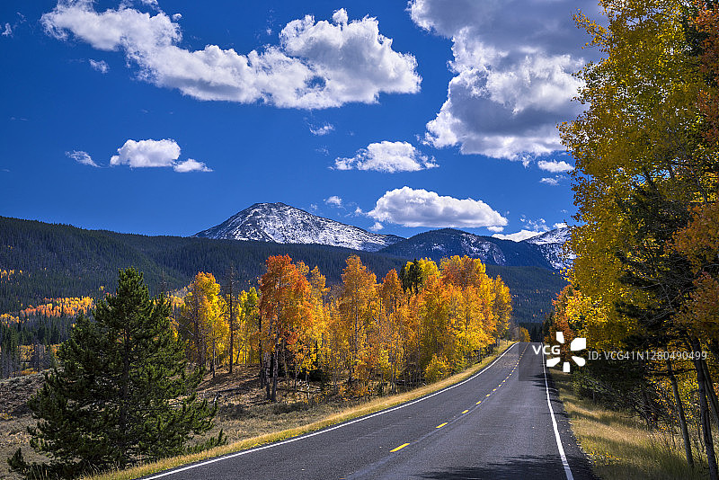 美国怀俄明州，路中秋色一片，有白杨和松树图片素材