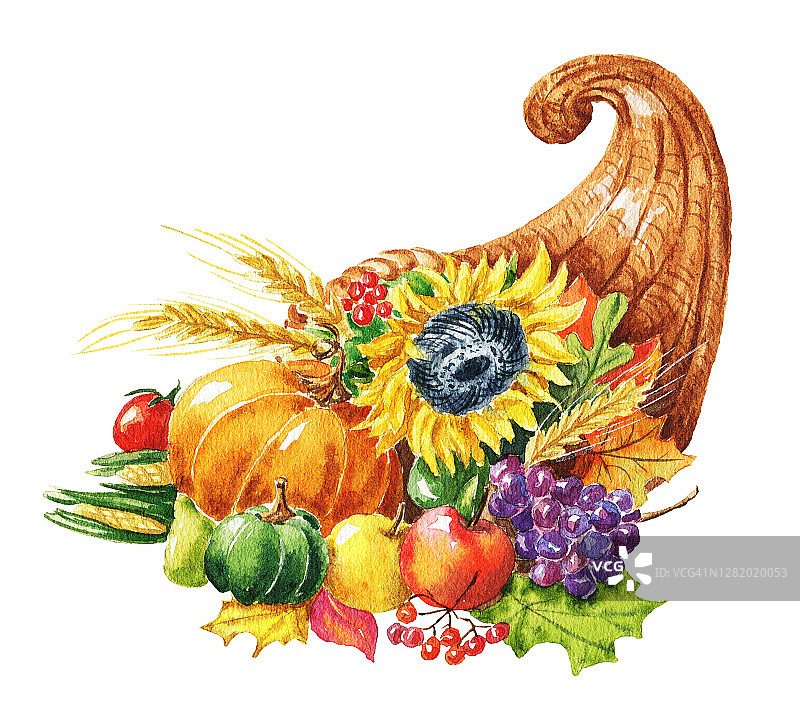 手绘水彩丰富的秋收，南瓜，向日葵，苹果和葡萄。食物插图孤立在白色背景。图片素材