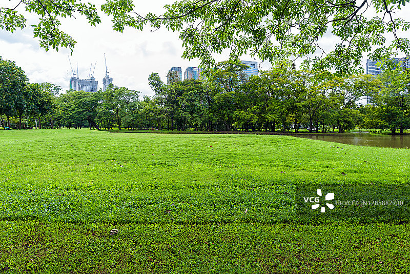 美丽的风景在公园和绿色的草地。图片素材