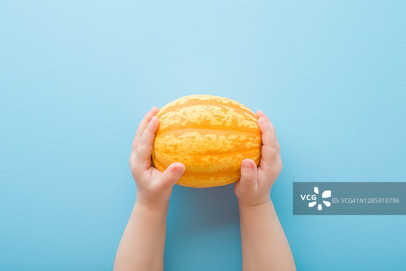 小女孩的手触摸着淡蓝色背景上黄橙色的南瓜。柔和的颜色。新鲜的蔬菜。特写镜头。视角拍摄。自顶向下的观点。图片素材