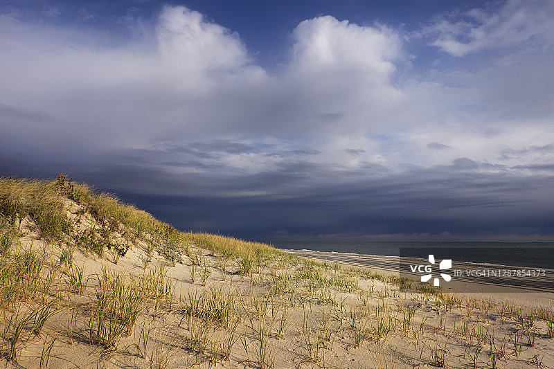 沙滩，海草和戏剧性的天空在岛海滩州立公园图片素材