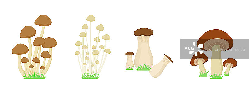 蘑菇与草在白色的背景。图片素材
