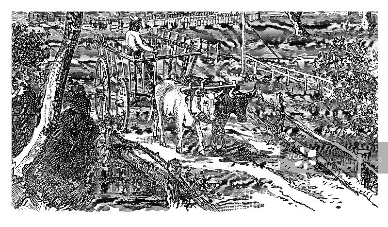 1790年新英格兰农场的雕刻插图图片素材