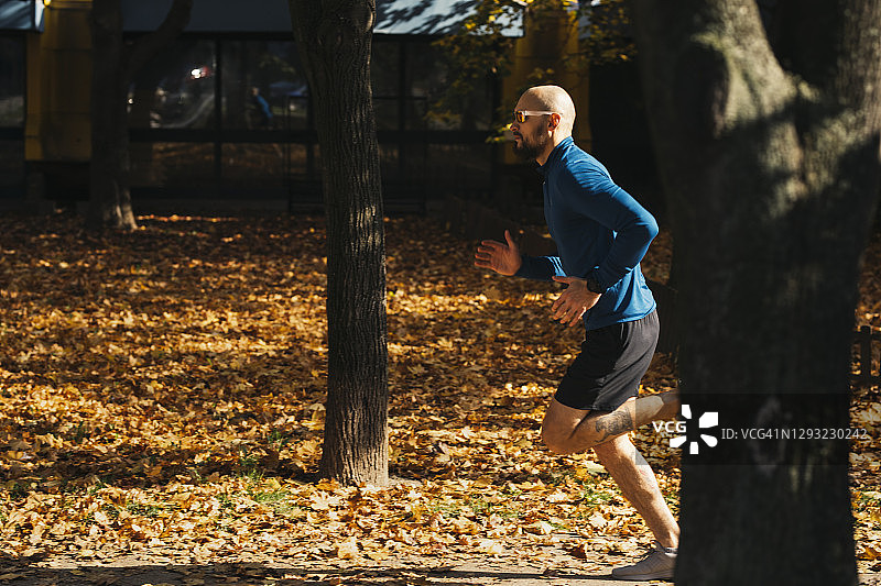 英俊的光头运动员戴着太阳镜在一个温暖的秋日里在户外跑步，到处都是树叶图片素材