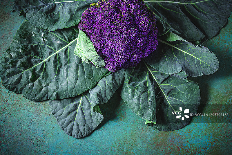 紫色的生菜花与植物的叶子在绿色上图片素材