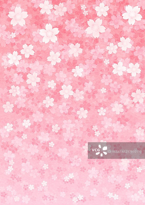 樱花填充屏幕的插图。图片素材