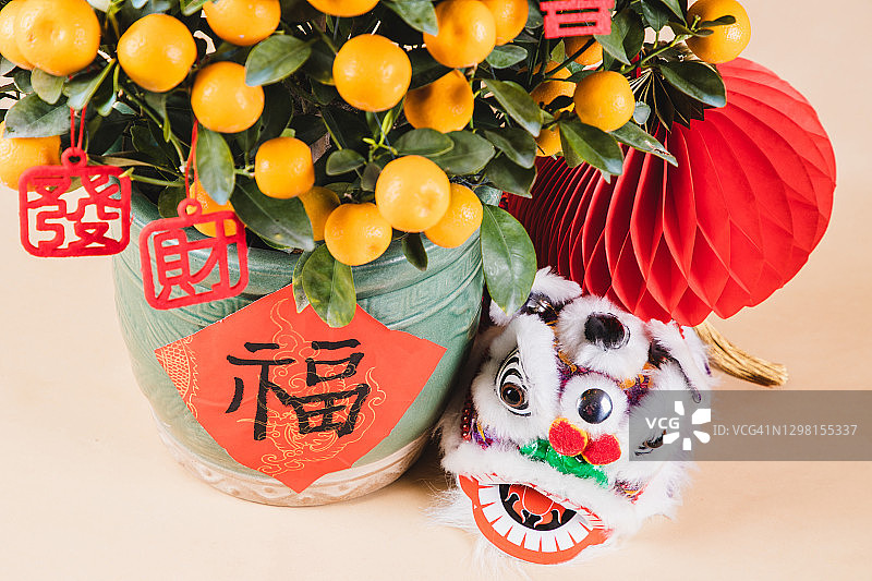 Chinese new year kumquat bonsai tree (年桔) with ornaments, dancing lion and red lantern图片素材