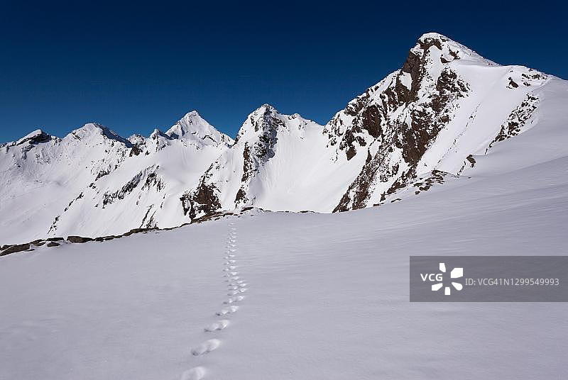 雪地上的足迹，奥地利蒂罗尔的斯图拜阿尔卑斯图片素材