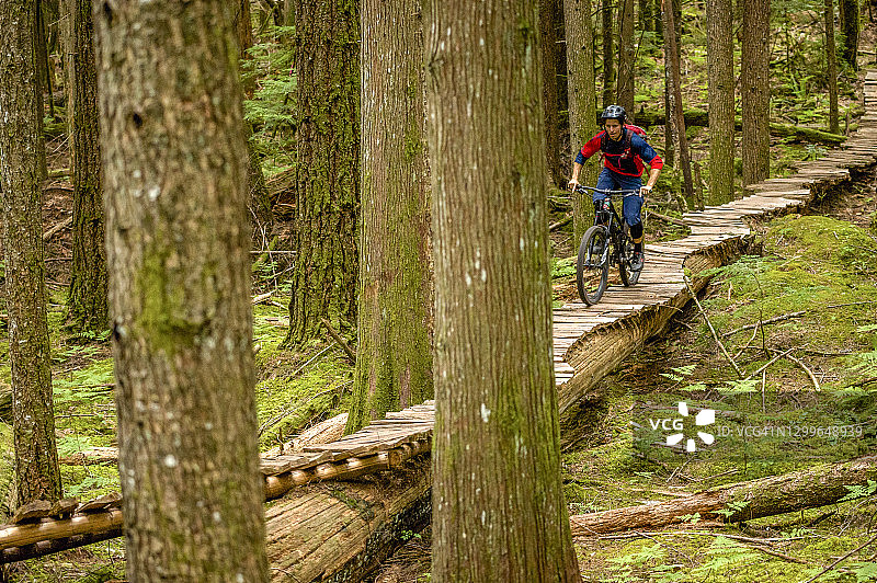 山地自行车穿越漫长的“北岸”轨道，在森林深处的环境图片素材