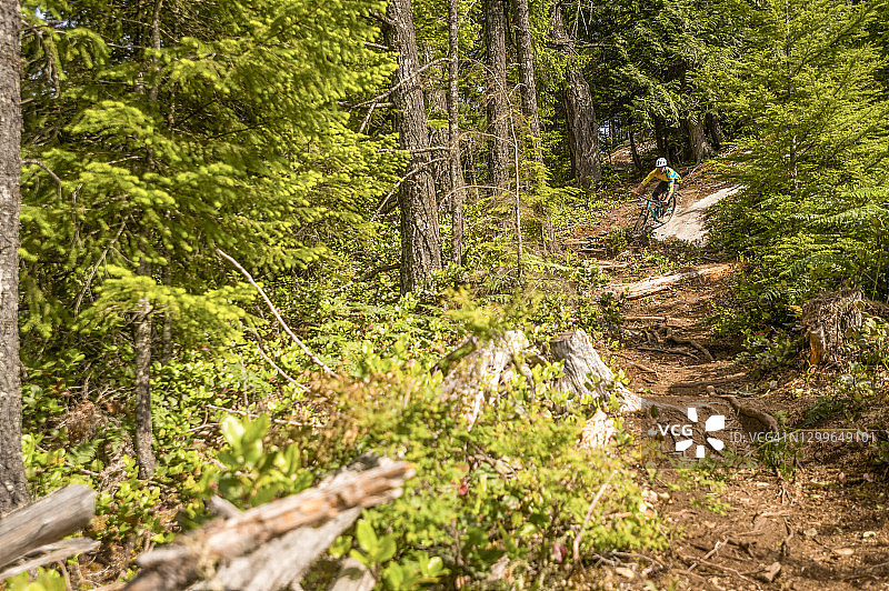 山地自行车下山的泥土小路，在深森林环境图片素材