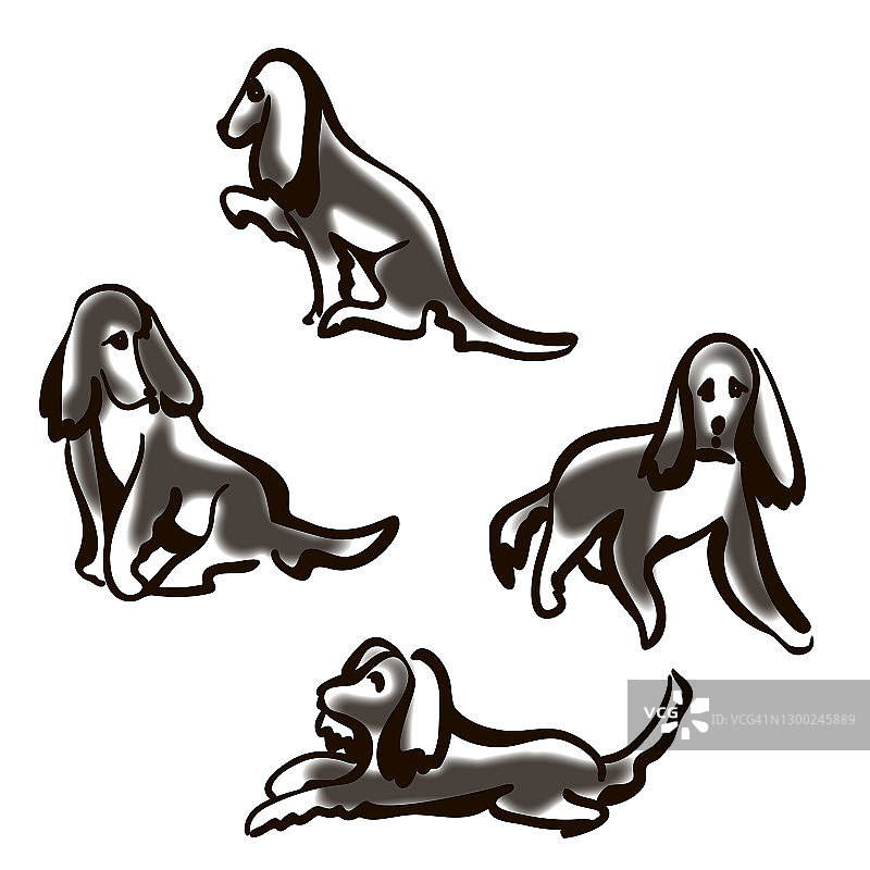 狗英语施普林格西班牙猎犬卡通矢量插图图片素材