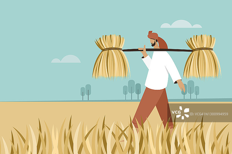 一个农民肩上扛着一堆稻草穿过农场图片素材