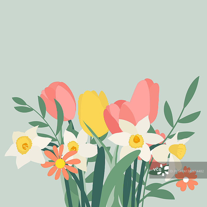 一束春天的花，郁金香和水仙花。矢量插图。EPS10图片素材