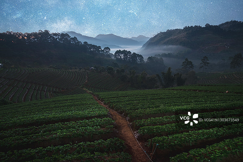 位于清迈方县湄洲区的Doi Ang Khang天空中的银河图片素材