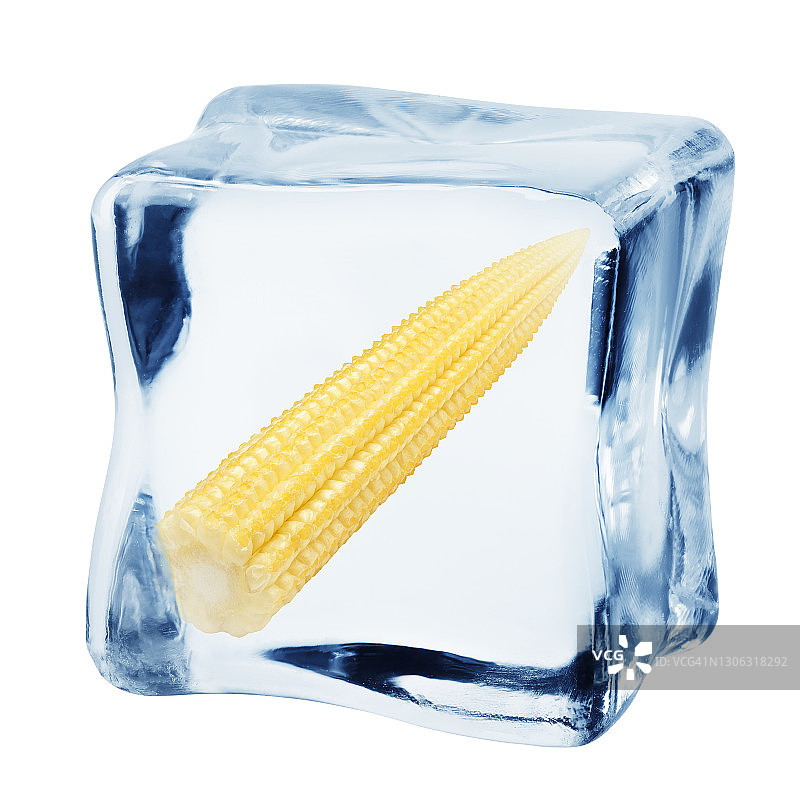 小玉米在冰块，孤立在白色背景，裁剪路径，全景深图片素材