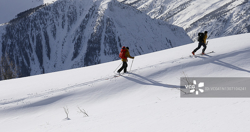偏远地区的滑雪者在早晨攀登积雪的山脊图片素材