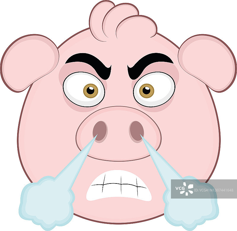 矢量插图卡通的猪与愤怒的表情从鼻子冒烟出来图片素材