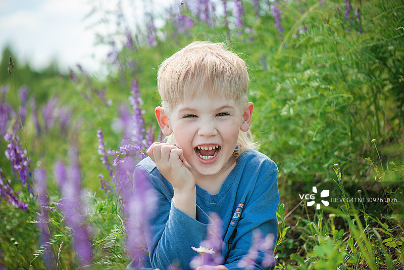 一个微笑的男孩在野花之间的肖像-库存照片图片素材