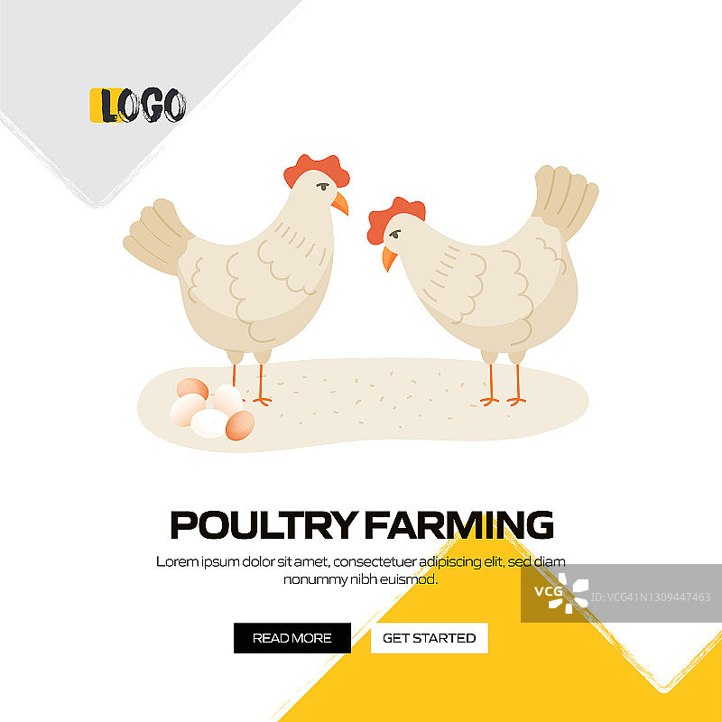 家禽养殖概念矢量插图网站横幅，广告和营销材料，网络广告，社交媒体营销等。图片素材