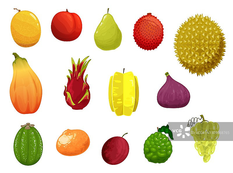 水果矢量图标异国情调的热带生产集图片素材