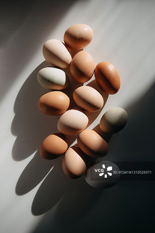 鸡蛋投射一个美丽的阴影在白色的背景图片素材