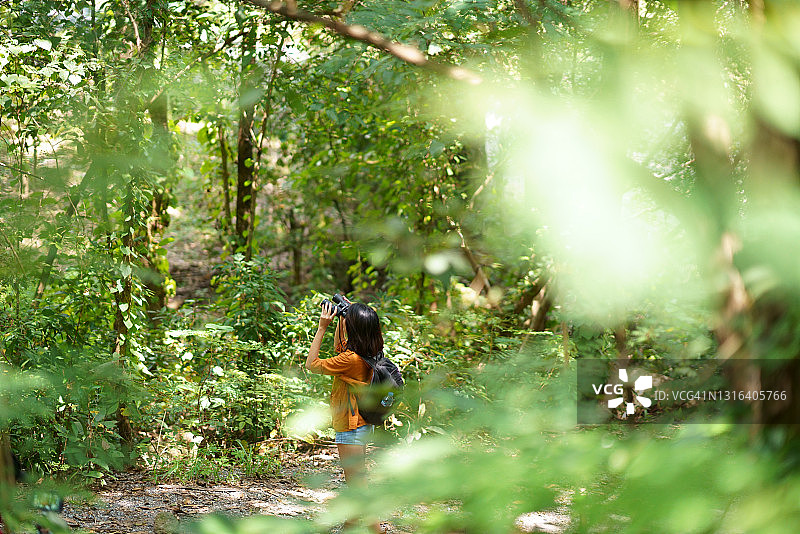 年轻女子站在森林里探索观鸟图片素材